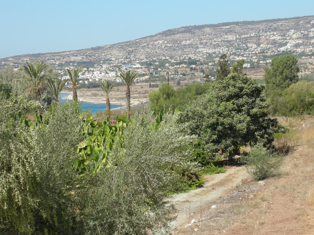 Villa Despoina Paphos Bagian luar foto