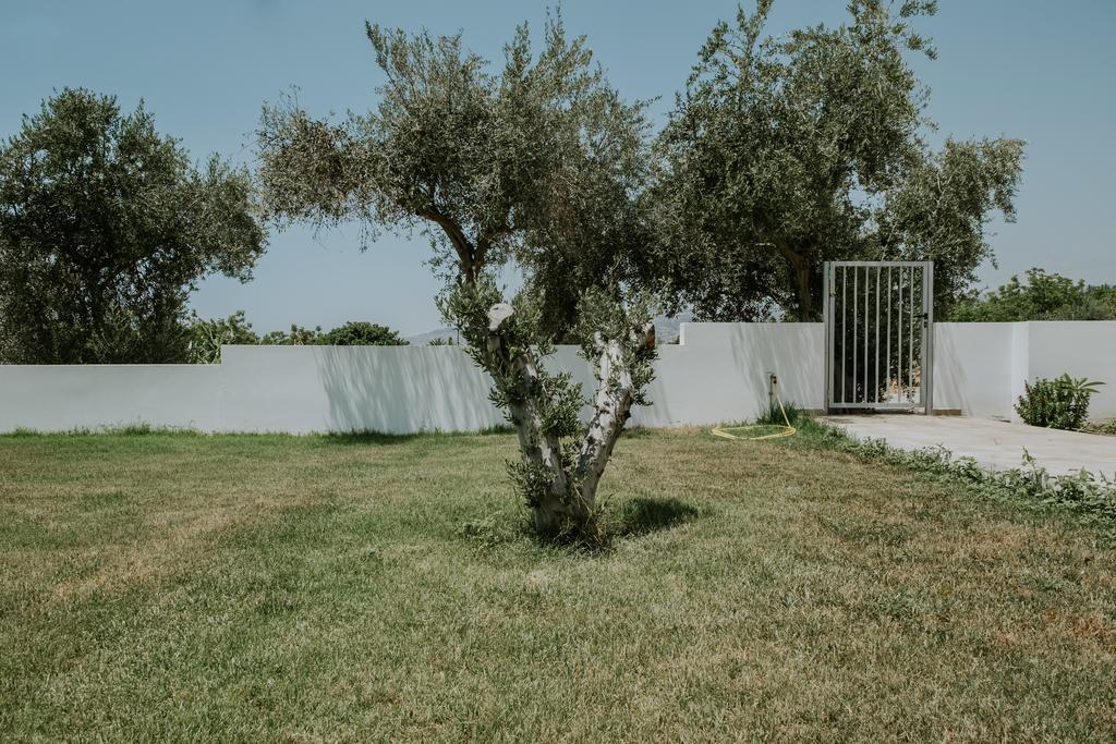Villa Despoina Paphos Bagian luar foto